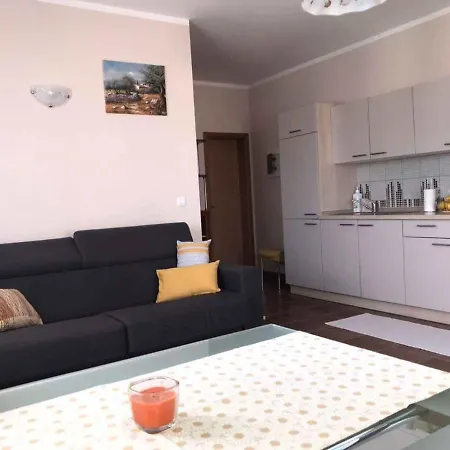 In - Zadar Riviera 39682